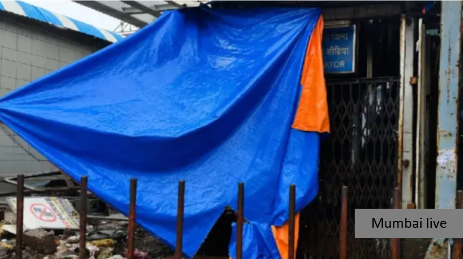 Dombivli Station Escalator Shut After Rainwater Damage