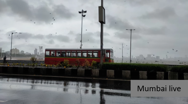 Maharashtra Rain Alert: IMD Issues Yellow Alert, Heavy Rainfall Expected In Parts Of State